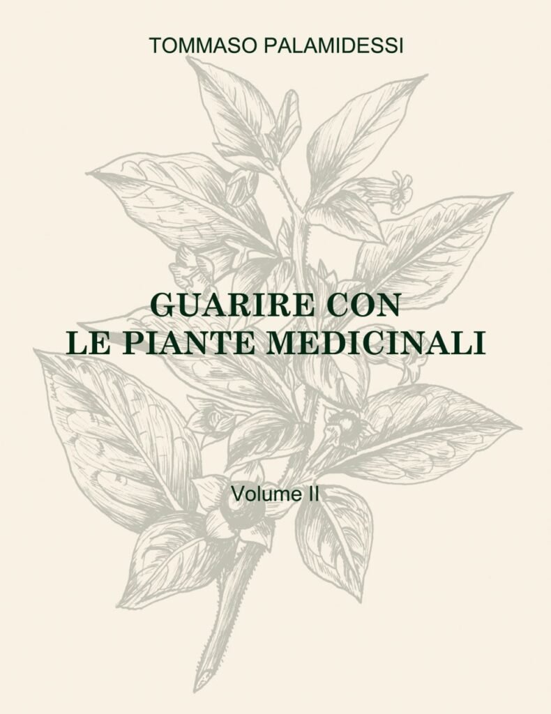 Guarire Con Le Piante Medicinali Tommaso Palamidessi Vol 2 790x1024